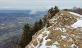 Tocht Sneeuwschoenen Autrans-Méaudre en Vercors - Pas de Nave  - Photo 2