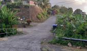 Excursión Senderismo Le Lorrain - Boucle Vallon - Morne-Bois - Seguineau - Photo 17