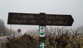 Tour Wandern Weismes - HAUTES-FAGNES ... au départ du Signal de Botrange.  - Photo 5