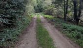 Trail Trail Arfons - raf ballade - Photo 3