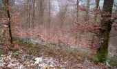 Tocht Stappen Braillans - BRAILLANS Forêt de MARCHAUX - Photo 1