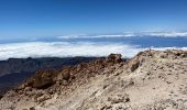 Trail Walking La Orotava - Montana Blanca Refuge Altavista Forteleza La Rambletta Teide 3718 m - Photo 9