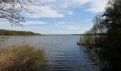 Tocht Te voet Am Mellensee - Mellenseer Heideweg - Photo 2