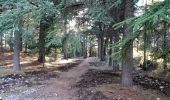 Excursión Senderismo Levens - Crête du Ferion par Levens  - Photo 1