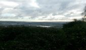 Trail Walking Oissel - 20231128-les essarts cool - Photo 8