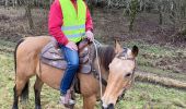 Trail Horseback riding Métairies-Saint-Quirin - Satis tivio  - Photo 1