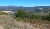 Trail Walking La Cadière-d'Azur - la Cadière le Castellet - Photo 9