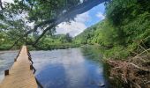 Tour Wandern Vresse-sur-Semois - rando laforêt 24-05-2022 - Photo 9