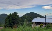 Excursión Senderismo Le Morne-Rouge - Le Morne-Rouge  -  Le  Carbet par Col Yang Ting - Photo 14