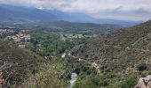 Tour Wandern Ille-sur-Têt - Ille sur tet - Photo 10