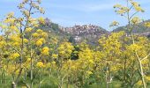 Randonnée A pied Castiglione di Sicilia - Sentiero della Cuba - Photo 8