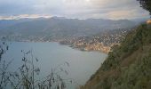 Tour Zu Fuß Camogli - San Rocco - Monte Portofino - Pietre Strette - Photo 3