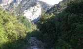 Randonnée A pied Sales de Llierca - L'Alta Garrotxa de Vayreda - Photo 6