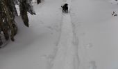 Tocht Stappen Corrençon-en-Vercors - 38 correncon glaciere - Photo 2