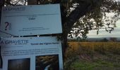 Trail Walking Corconne - Corconne vignes garrigue oliveraies  - Photo 10