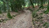 Excursión Senderismo La Roche-en-Ardenne - Transardennaise 1 - Photo 15