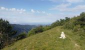 Trail Walking Beaumont-du-Ventoux - Chapelle St Sépulcre - La plate - Pic de Comte - Photo 2