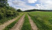 Tour Wandern Soucy - Petite promenade dans la forêt de SOUCY  - Photo 6