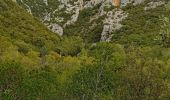 Tour Wandern Prugnanes - 6ème étape sentier Cathare  - Photo 15