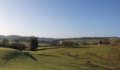 Tour Wandern La Roche-en-Ardenne - rando ornitho warempage 24/02/2021 - Photo 18