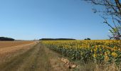 Randonnée Marche Neuvy-le-Roi - Neuvy-le-Roi - Ancien PR puis PR - 19.8km 180m 5h55 (55mn) - 2025 07 10 - Photo 3