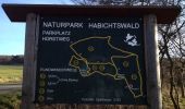 Trail On foot Habichtswald - Dörnberg D4 - Photo 3