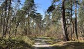 Tocht Stappen Compiègne - en forêt de Compiègne_48_sur les Routes de la Mariolle et du Grand Veneur - Photo 8