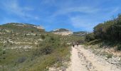 Tour Wandern Cheval-Blanc - 2024-04-13 Roumiguier - Photo 10