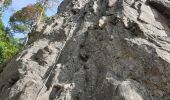 Trail Walking Dambach-la-Ville - Sommets et rochers - Photo 8