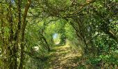 Randonnée Marche Cerfontaine - Balade autour de Cerfontaine - Photo 14