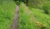 Tocht Stappen Golinhac - golinhac conques  - Photo 9