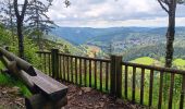 Tocht Stappen Septmoncel les Molunes - mo sentier des lapidaires - Photo 14