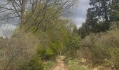 Trail Walking Theux - autour de bronrome - Photo 15