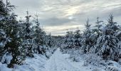 Trail Walking Stavelot - A la découverte de Hockai 🥾 - Photo 11