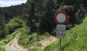 Trail On foot Vicopisano - 