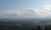 Tour Zu Fuß Furtwangen im Schwarzwald - Furtwangen - Escheck - Photo 9