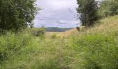 Tocht Stappen Fauvillers - Tintange 25,3 km - Photo 9