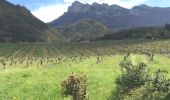 Excursión Senderismo Saillans - Cresta - Photo 1