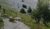 Trail Walking Lans-en-Vercors - les allieres, COL de l arc, et pic ST Michel - Photo 14