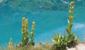 Tocht Stappen Les Avanchers-Valmorel - Valmorel / Lac blanc / Lac bleu - Photo 4