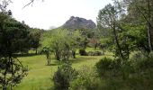 Trail Walking Roquebrune-sur-Argens - les hauts de Roquebrune sur Argens - Photo 3