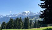 Trail Walking Combloux - Com loud - Photo 1