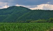 Tour Zu Fuß Bezirk Snina - Stakčín - Photo 7