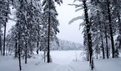 Trail On foot Suomussalmi - Kokalmuksen Kierros - Photo 2