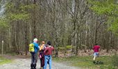 Tocht Stappen La Roche-en-Ardenne - Beausaint - Photo 5