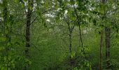 Tour Elektrofahrrad Saint-Clément - sortie vtt 01052023 buriville sous la pluie  - Photo 2