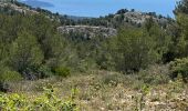 Tour Wandern Roquefort-la-Bédoule - Ceyreste  grand Caunet Roland - Photo 9