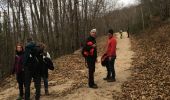 Trail Walking Saint-Laurent-de-Cerdans - St laurent de cerdans - Photo 2
