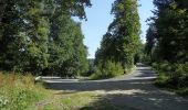 Tour Zu Fuß Olbersdorf - [Ž] Albrechtice - Petrovy boudy - Photo 1