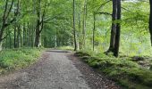 Trail Walking Hoeilaart - Grœnendael La Hulpe 16,1 km - Photo 16
